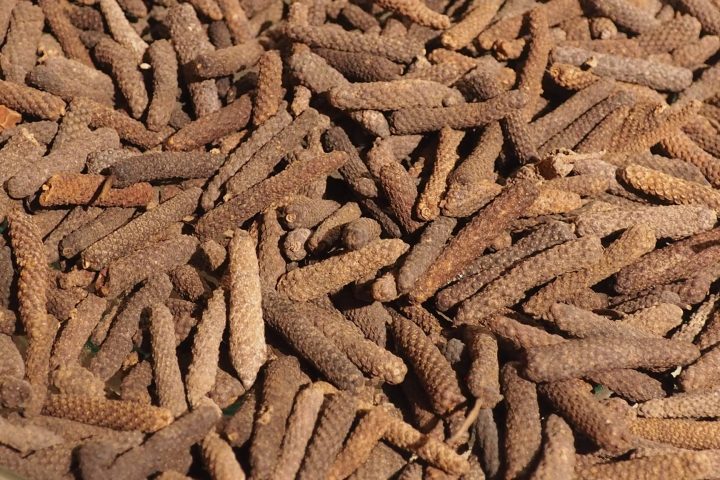 Long pepper