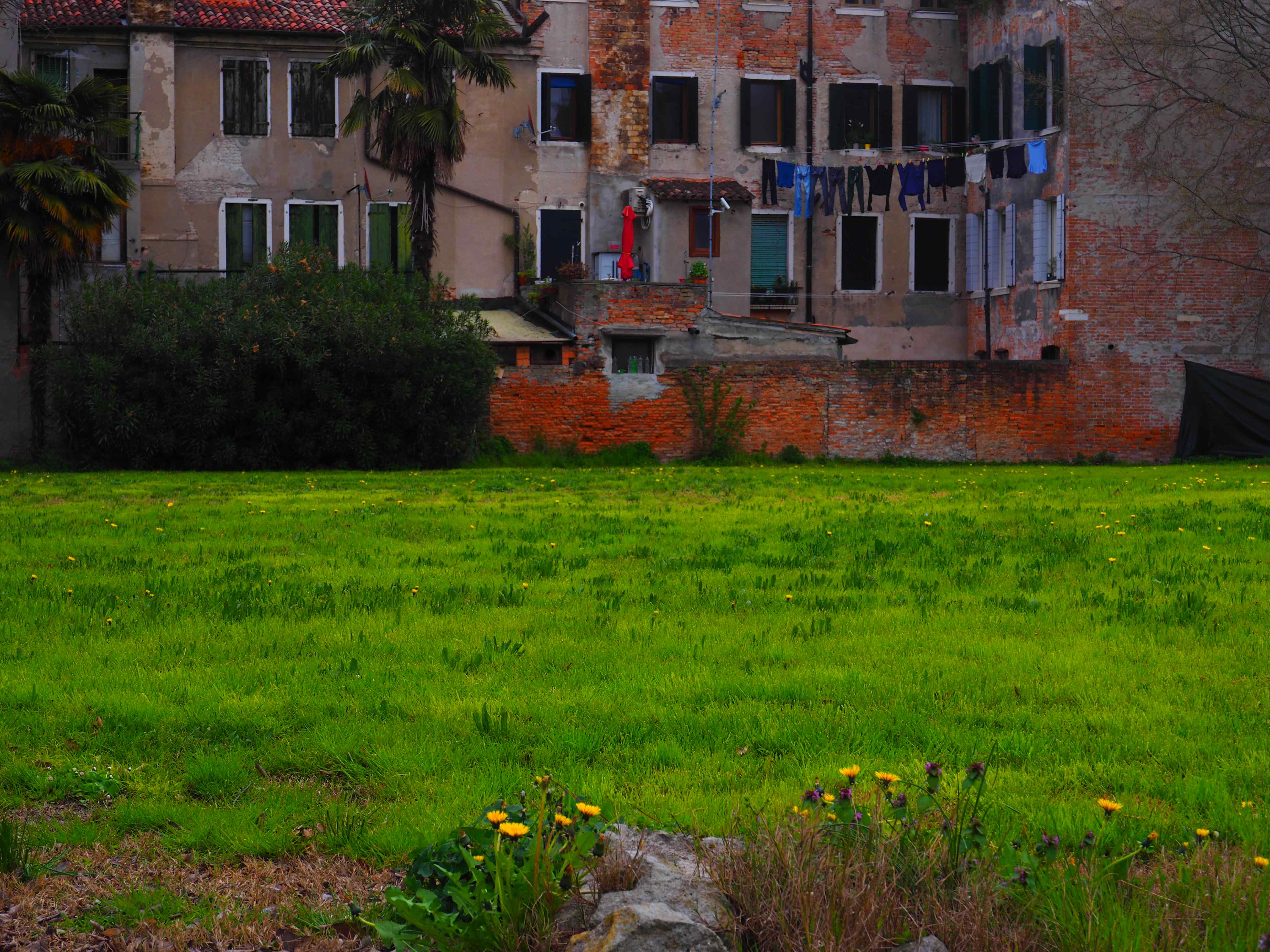 view from the complex into the garden