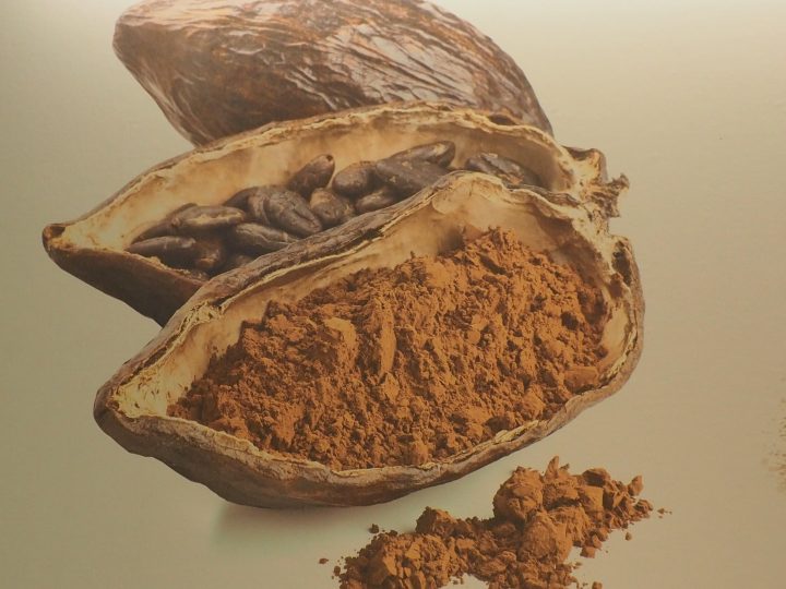 cacao pod