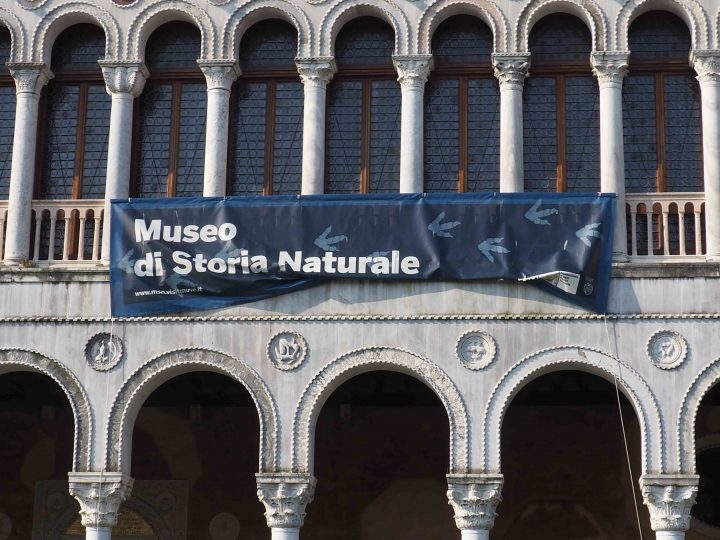 Fondaco dei Turchi oggi Museo di Storia Naturale