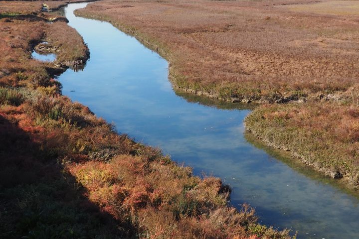 small canals and salt flats around the quarantine island Lazzaretto Nuovo