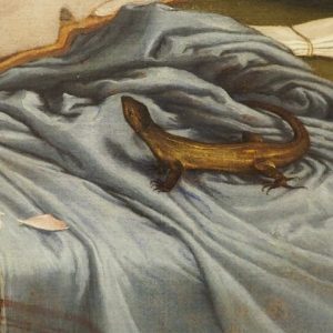 dettaglio lucertola o ramarro